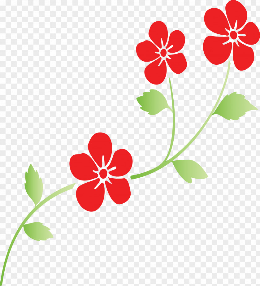 Flower Frame Decoration PNG