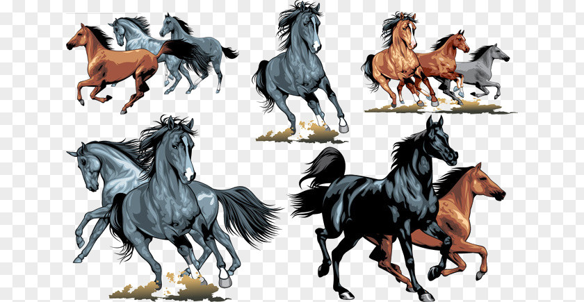 Horse Gallop Chart Equestrianism Clip Art PNG