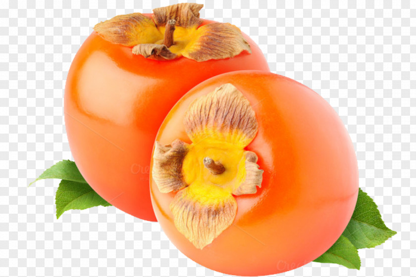 Persimmon Japanese Common Date-plum PNG