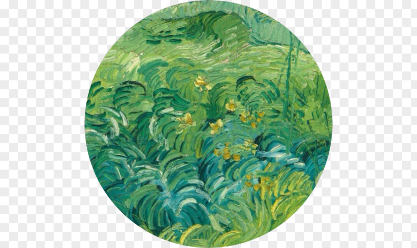 Starry Night National Gallery Of Art Van Gogh Self-portrait Field With Green Wheat Cypress PNG