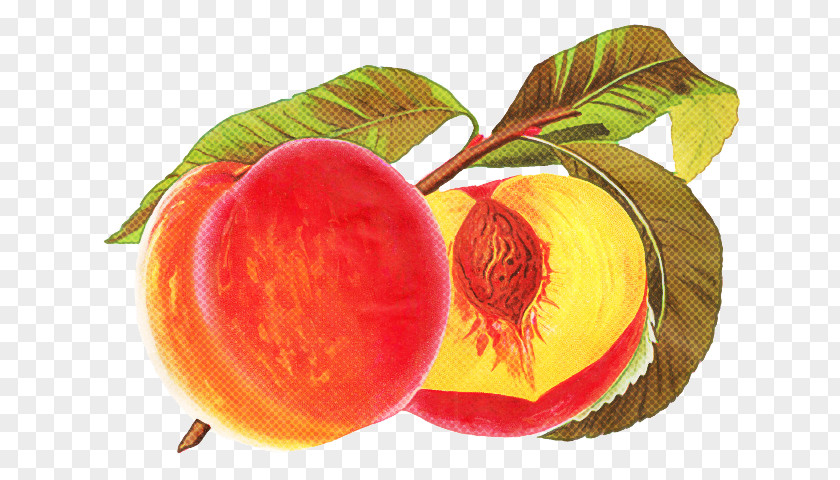 Flower Nectarine Fruit European Plum Plant Peach Food PNG