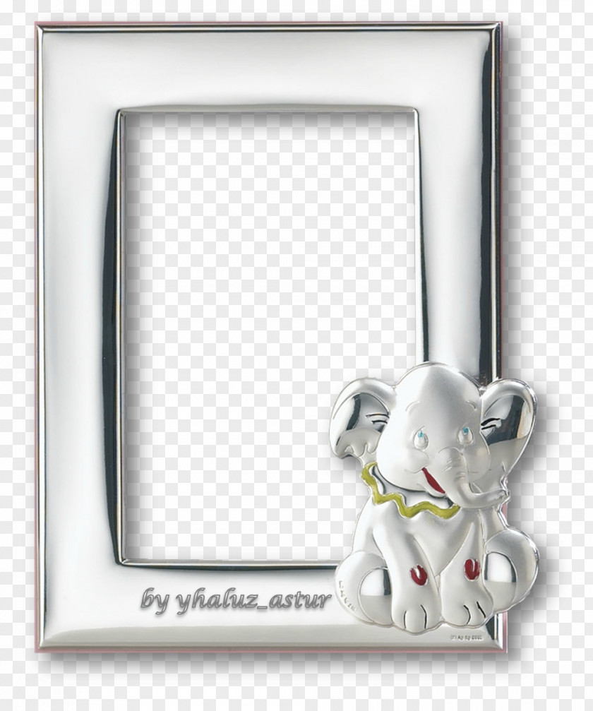 Inclusive Picture Frames Photography Rabbit Email PNG