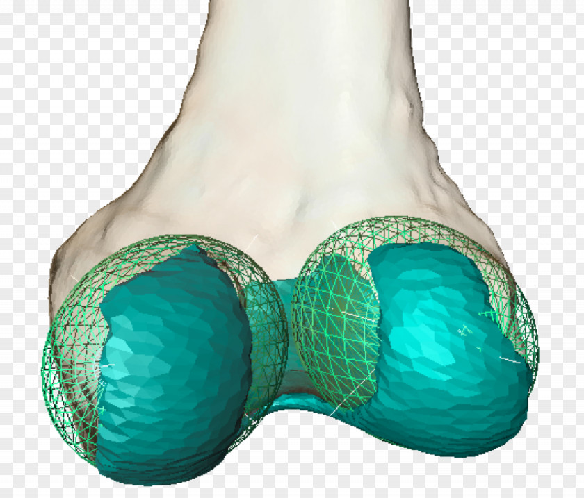 Patella Geometry Knee Joint Condyle Femur PNG