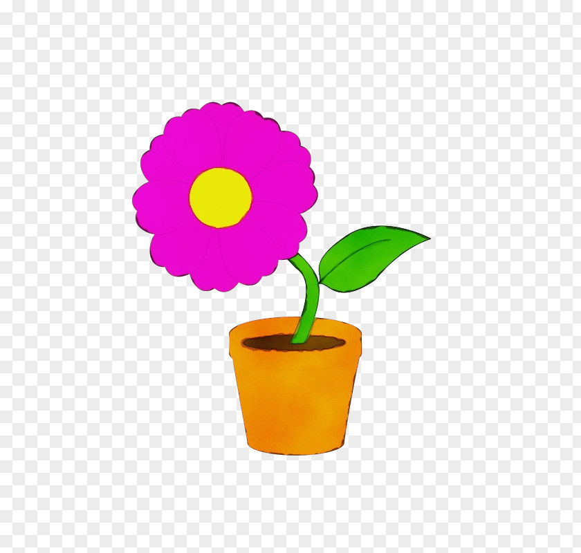 Plant Stem Cut Flowers Flowerpot Flower Violet Houseplant PNG