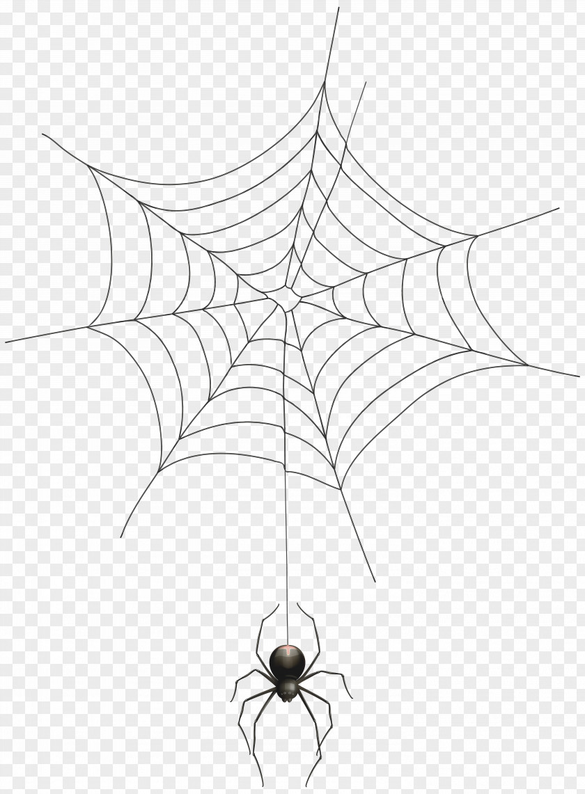 Spider And Web Transparent Clip Art Image PNG