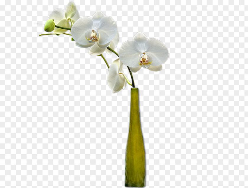 Vase Cut Flowers Flower Bouquet PNG