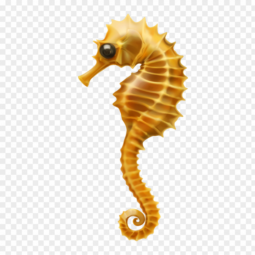 Vector Cartoon Hippocampus Seahorse Clip Art PNG