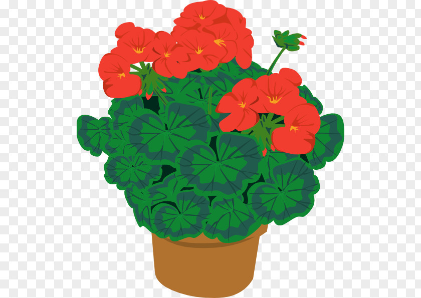 Geranium Clip Art: Transportation Flowering Pot Plants Houseplant Openclipart PNG