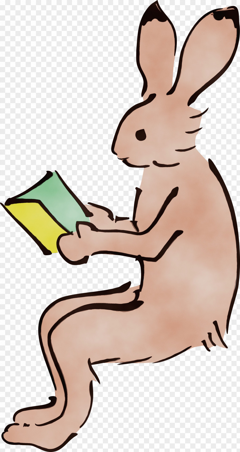 Hares Cartoon Tail Animal Figurine Rabbit PNG