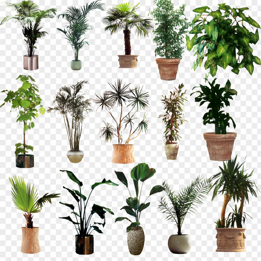 Potted PNG Potted,green,plant,flowers clipart PNG