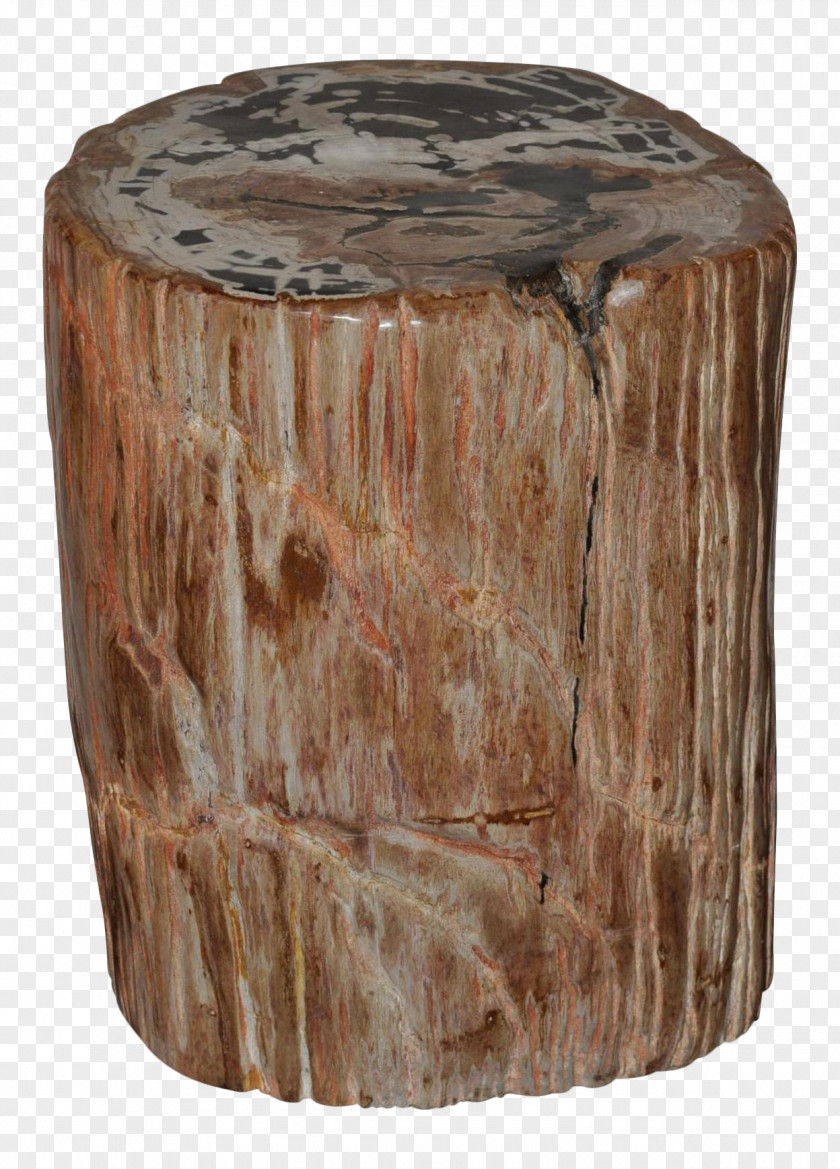Table Coffee Tables Petrified Wood Petrifaction PNG