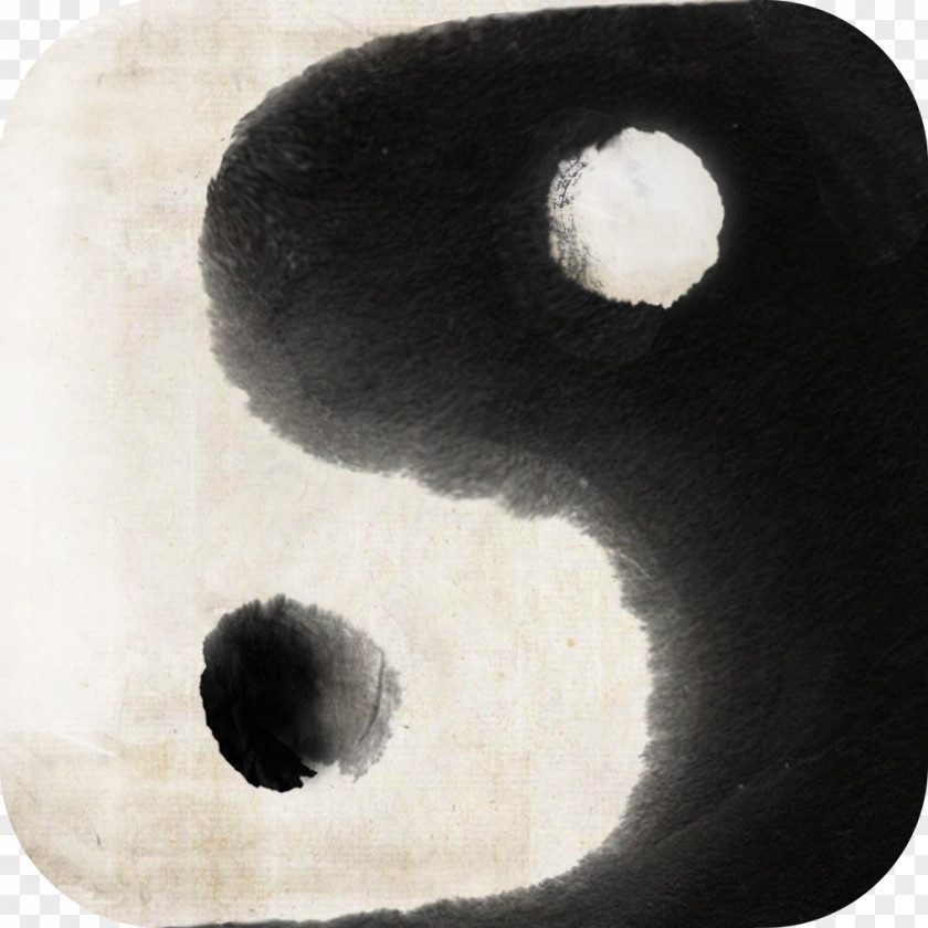 Tai Chi IPod Touch App Store Apple PNG