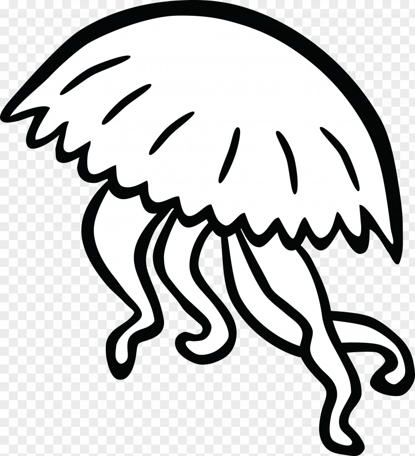 Tentacle Clipart Jellyfish Color Clip Art PNG