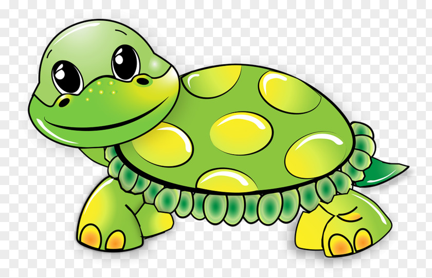 Turtle Green Sea Clip Art Vector Graphics PNG
