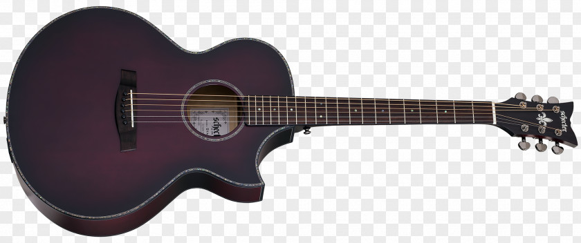 Acoustic Guitar Schecter Research Acoustic-electric PNG