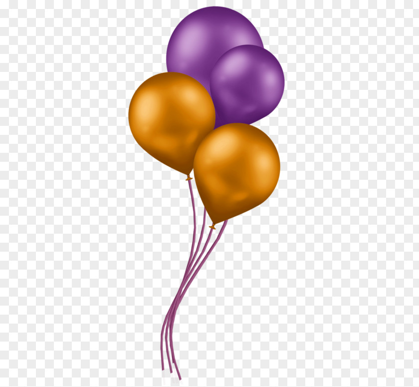 Balloon Photograph Image Birthday Video PNG