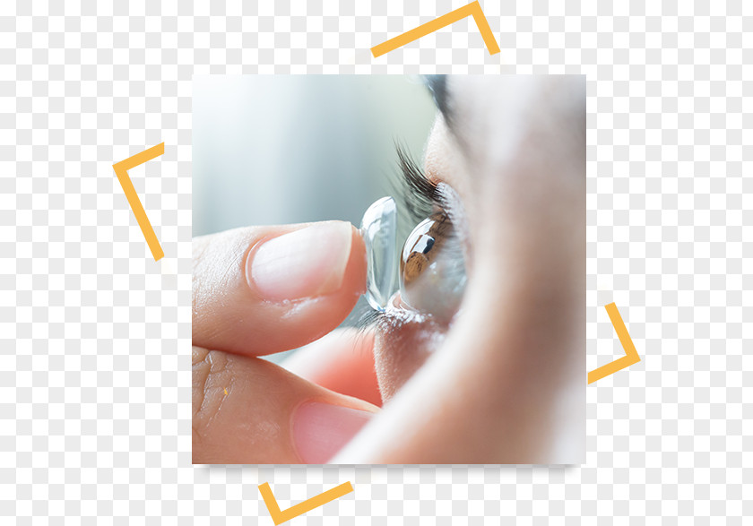 Eye Optometry Contact Lenses Examination Care Professional PNG