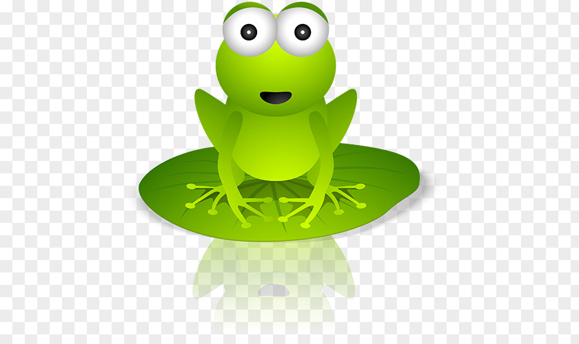 Frog Amphibians PNG