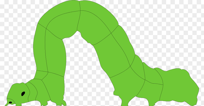 Inch Worm Cliparts Mammal Cartoon Green Illustration PNG