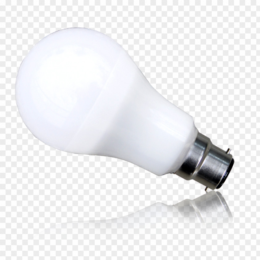 Daily Light Bulbs Lighting PNG