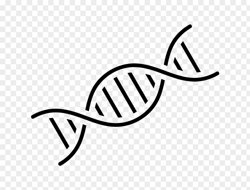 DNA Nucleic Acid Double Helix Genetics PNG