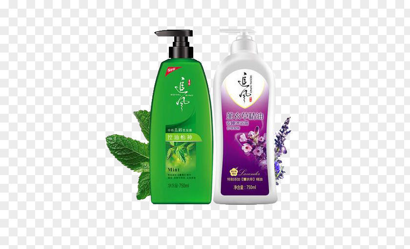 Lavender Mint Shampoo Set Lotion Shower Gel Essential Oil PNG