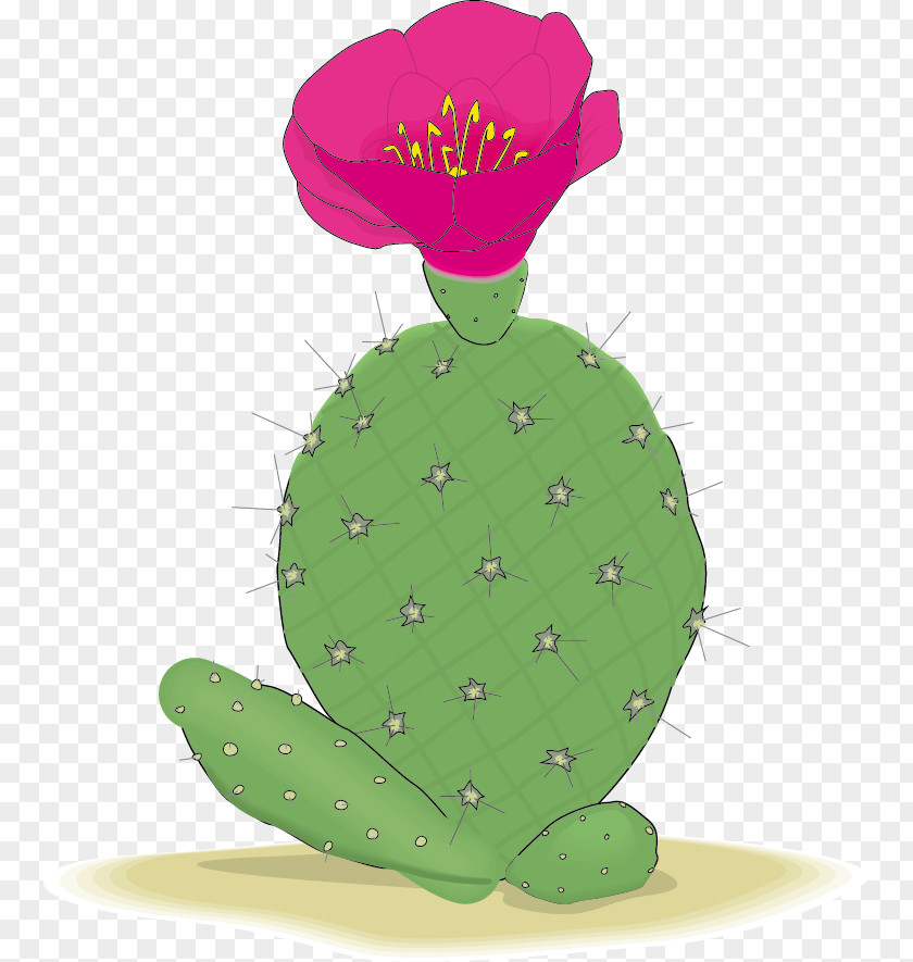 Vector Cactus Cactaceae Clip Art PNG