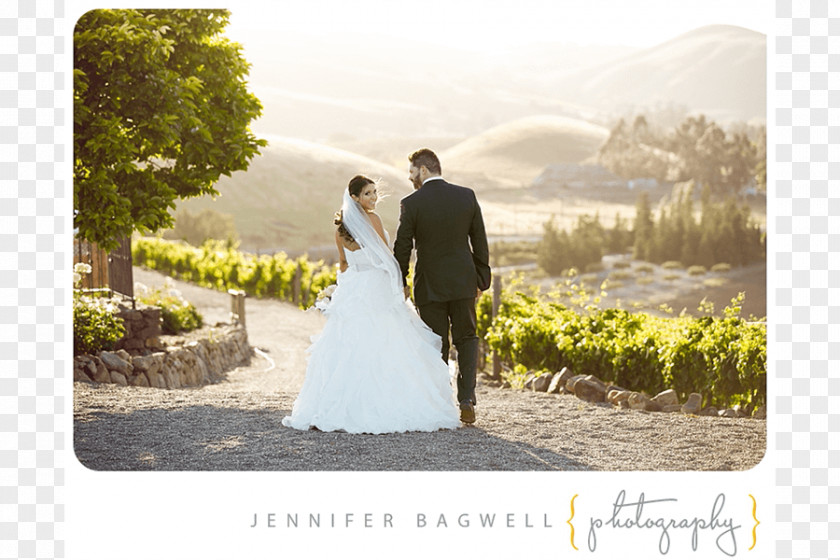Wedding Viansa Sonoma Winery & Tasting Room Photograph Wine Country Court PNG