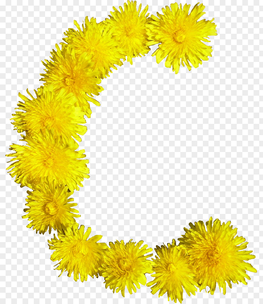 Blumen Flower Blume PNG