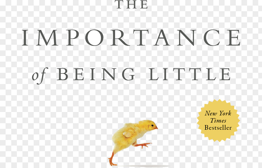 Book The Importance Of Being Little Amazon.com Einstein Never Used Flash Cards: How Our Children Really Learn--and Why They Need To Play More And Memorize Less PNG