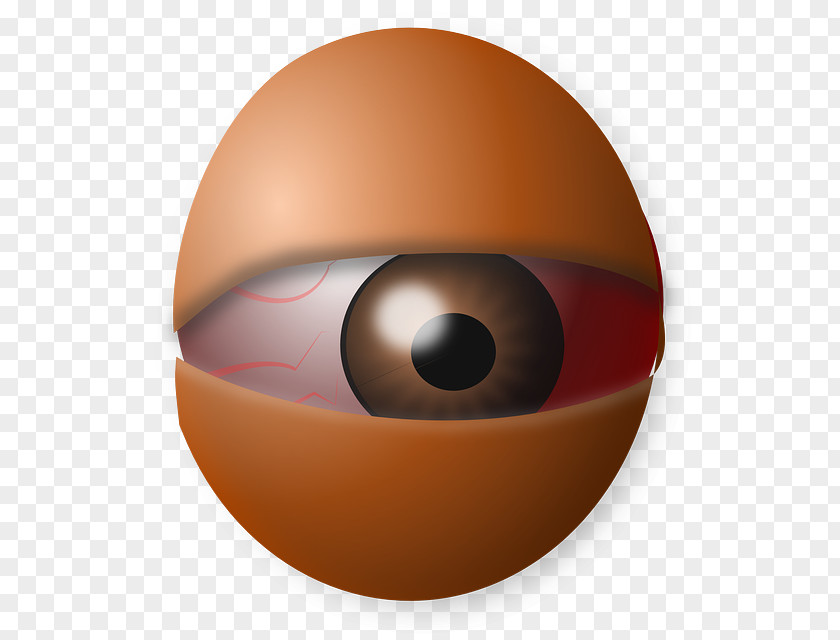 Eye Human Egg Iris Clip Art PNG