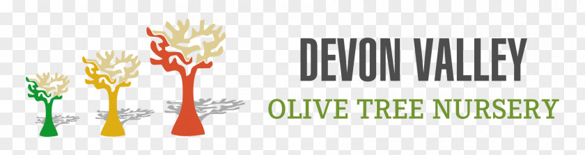 Olive Harvest Logo Tree Oil Brand PNG