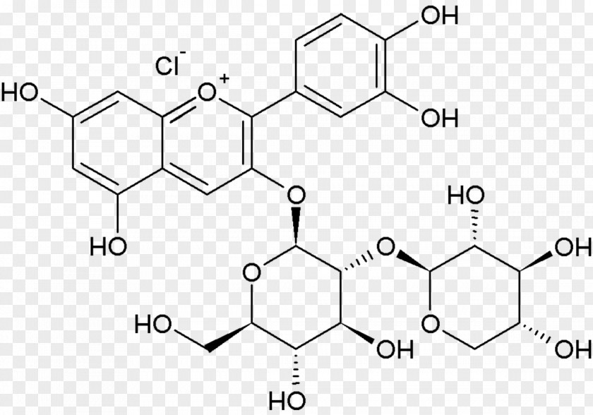 Sambucus Flavonoid Eriodictyol Rutin Glycoside Luteolin PNG