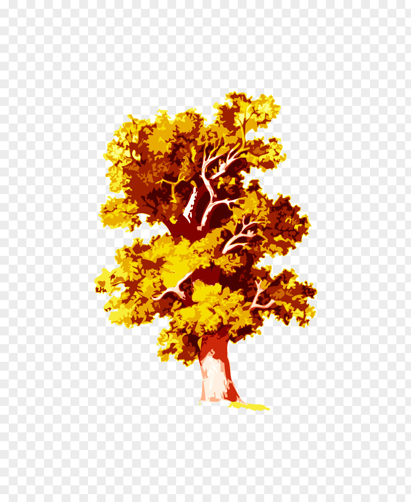 Autumn Tree Family Oak Deciduous PNG