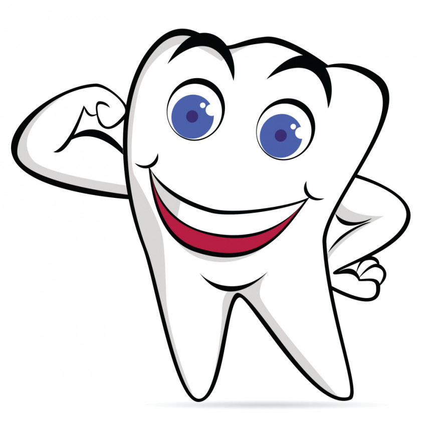 Dental Smile Cliparts Human Tooth Cartoon Clip Art PNG