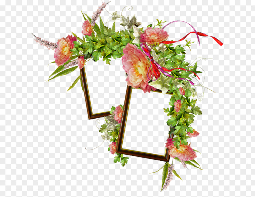 Flower Floral Design Cut Flowers PNG