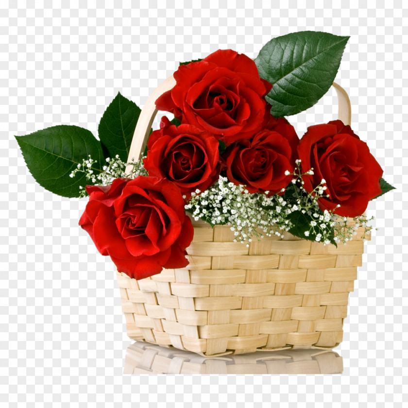Get Well Soon Rose Flower Bouquet Cut Flowers Red PNG