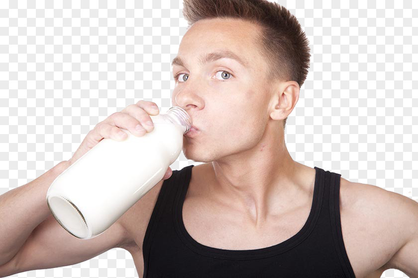 Milk Cows Drinking Stock Photography PNG
