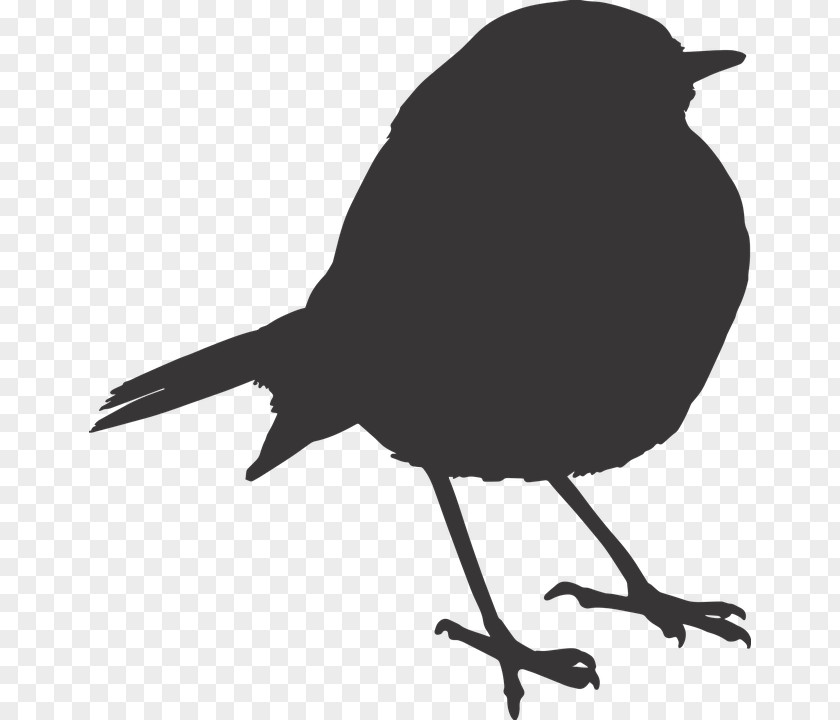 Silhouette Clip Art Bird Image PNG