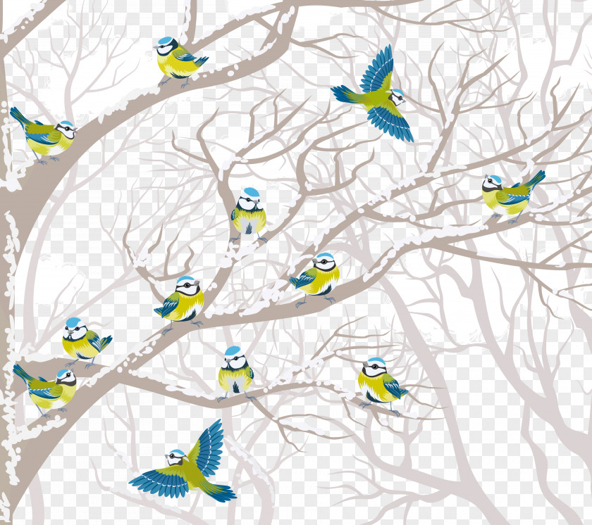 Creative Winter Birds Bird Tree Clip Art PNG