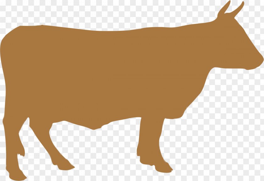 Dairy Cattle Image Silhouette PNG
