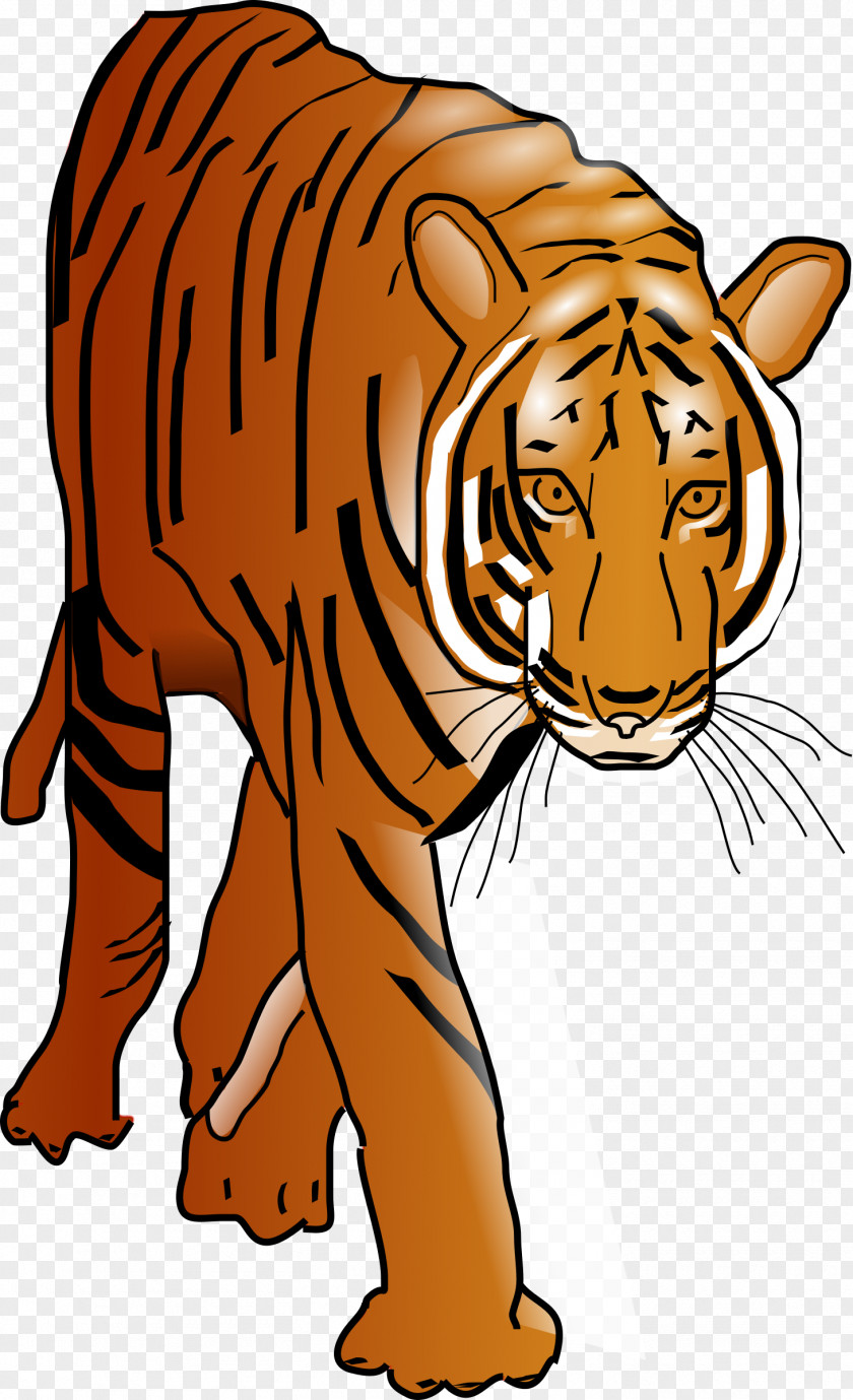 Lion Bengal Tiger Clip Art PNG