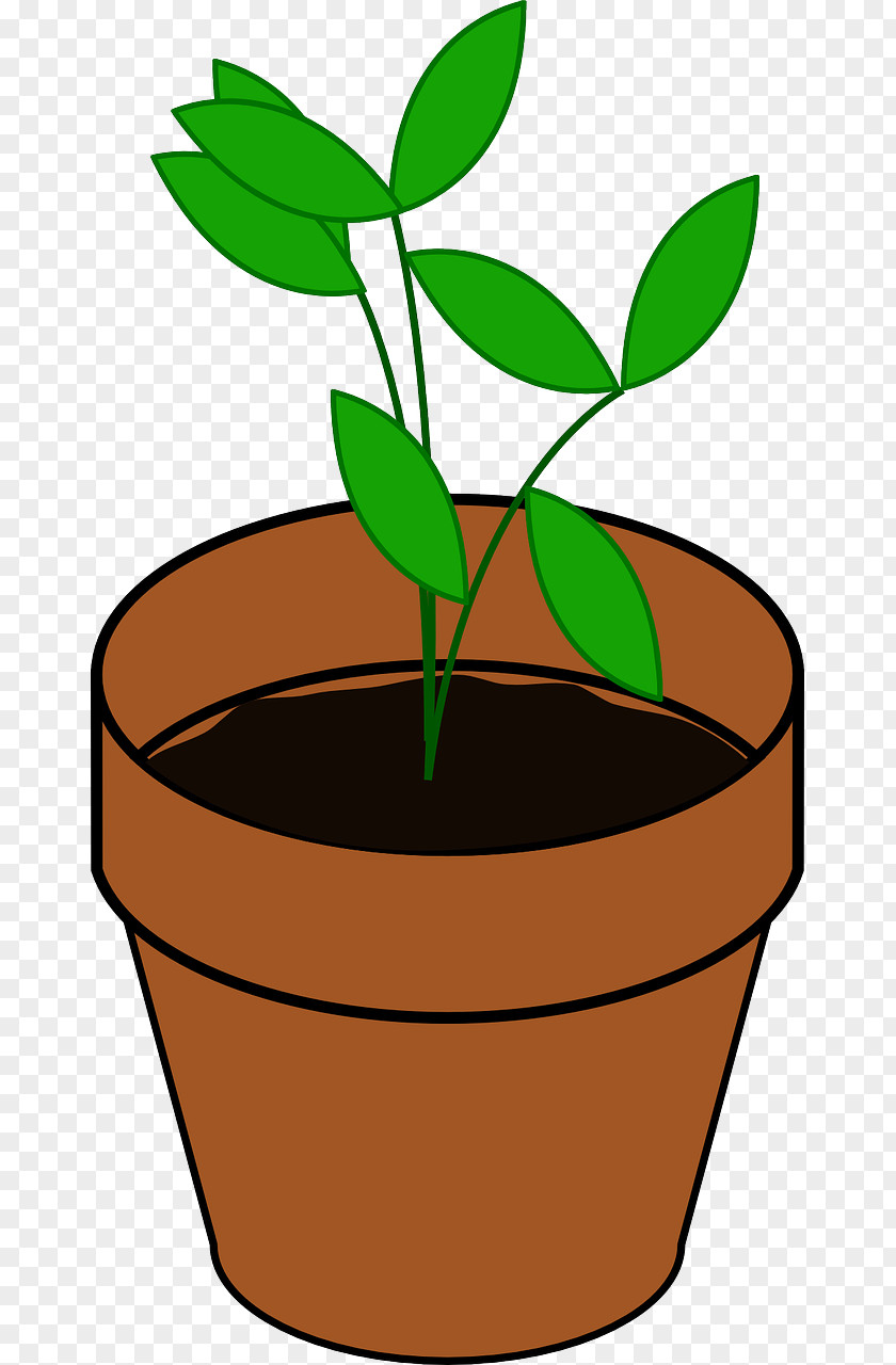 Plants Clip Art Vector Graphics Flowerpot Image Drawing PNG