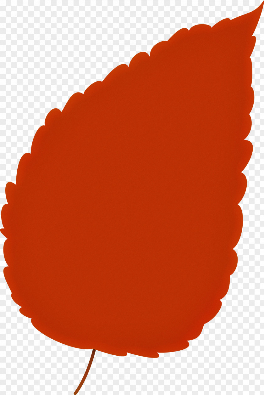 Red Orange PNG
