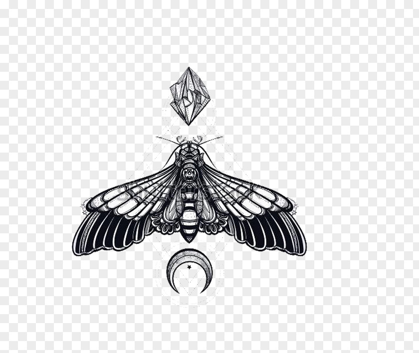 Tattoo Design Butterfly Death's-head Hawkmoth Sacred Geometry PNG