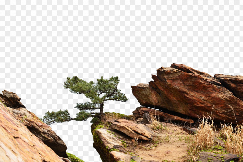 Yuntai Mountain Pine Erweijian Houyuntai U6d77u4e0au4e91u53f0u5c71 Xiadong PNG