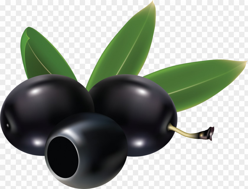 Black Olives Olive Clip Art PNG