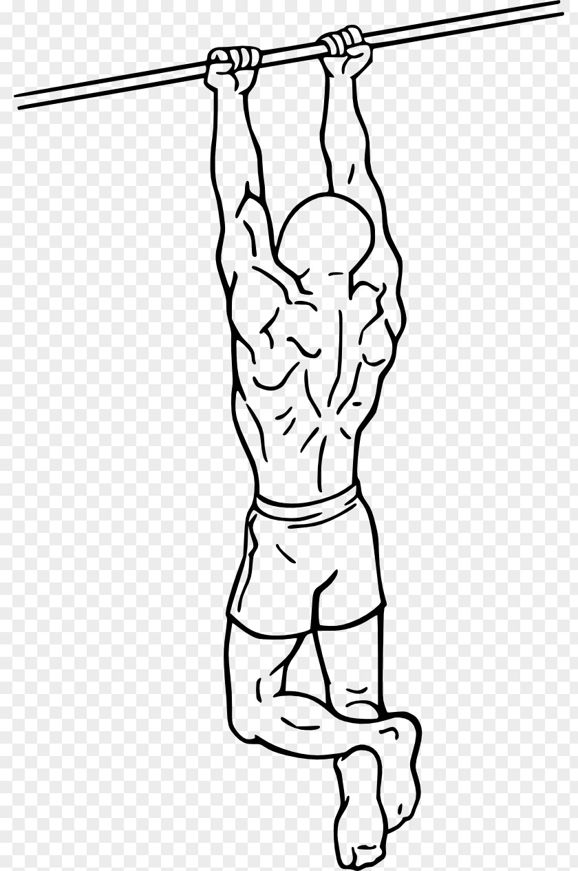 Creative Chin Chin-up Pull-up Biceps Curl Exercise PNG