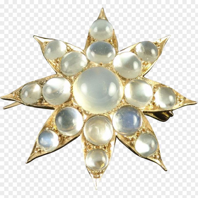 Jewellery Pearl Earring Brooch Charms & Pendants PNG