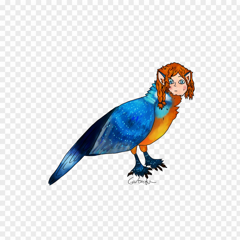 Parrot Budgerigar Macaw Parakeet Beak PNG